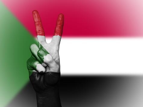 A hand painted in the colours of the Sudanese flag gives the peace symbol to the camera, the Sudanese flag is in the background.