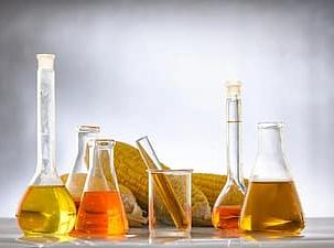 6 different sized scientific beakers and flasks filled with yellow and orange liquid infront of 3 cobs of yellow corn on a grey background