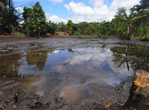 Polluted stagnant body of water with debris on the surface - trees in the background are reflected in the water under a blue sky with white clouds