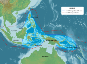Coral Triangle and countries participating in the Coral Triangle Initiative