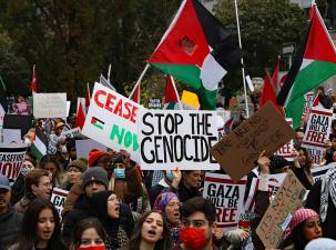 Pro-Palestine protesters line the streets of Toronto holding signs which say 'Stop the genocide'.