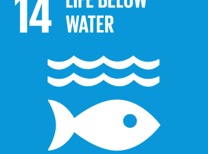 Icon of the 14th goal of the Sustainable development, life below water icon