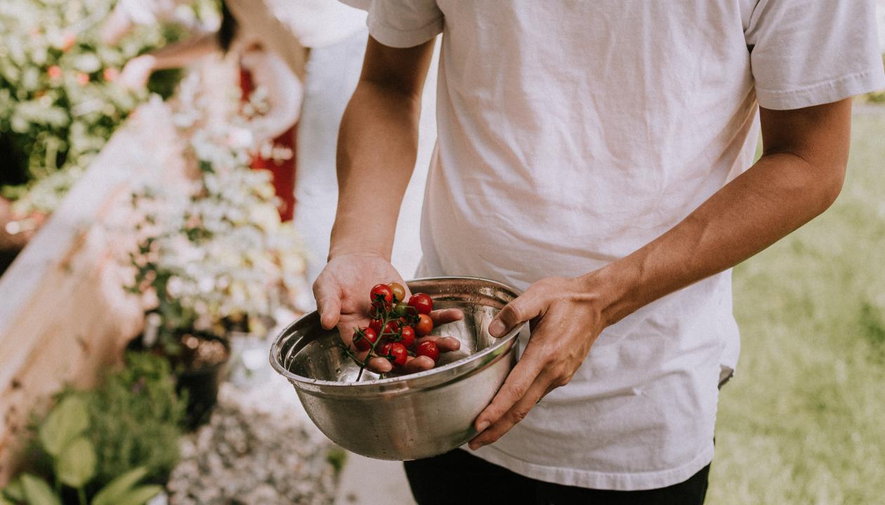 https://unsplash.com/photos/AnjWrxK3WQU Gardening