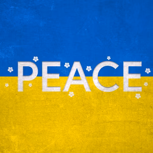 The white words of peace are written over the blue and yellow Ukraine flag surrounded by white flowers