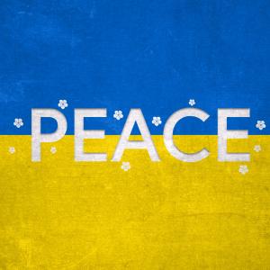 The white words of peace are written over the blue and yellow Ukraine flag surrounded by white flowers