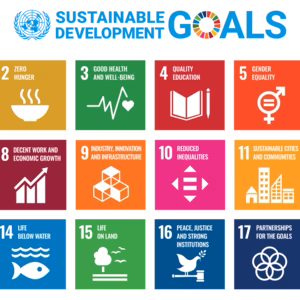 Grid image displaying the 17 goals of the SDGs, each square is a different colour, provides the number of the goal, the image that represents it and a brief description