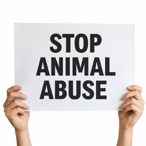 A close-up image of two hands holding a rectangular protest sign that says &ldquo;STOP ANIMAL ABUSE&rdquo; in bold black capital letters. The background is plain white.