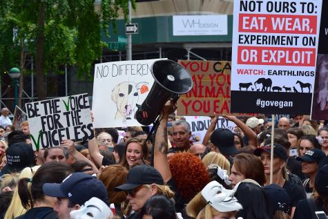 Many animal rights activists gather with a megaphone and posters to protest against the exploitation of animals