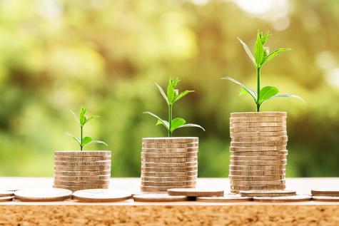 Three stacks of gold coins increasing in height from left to right have small green plants growing behind them, also increasing in height with each stack.