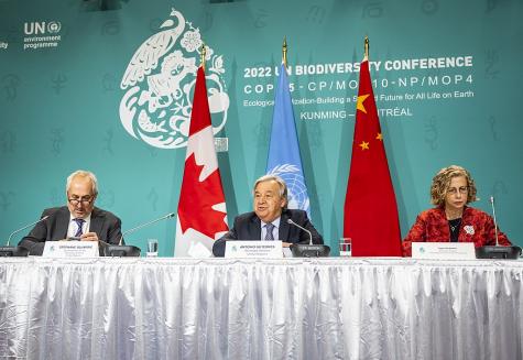 Three UN leaders two men and a wooman sit behind a table with the Canadian, UN, and Chinese flags behind them. The background is green and has the COP15 logo of a water drop and the words 2022 UN Biodiversity Conference written in white.