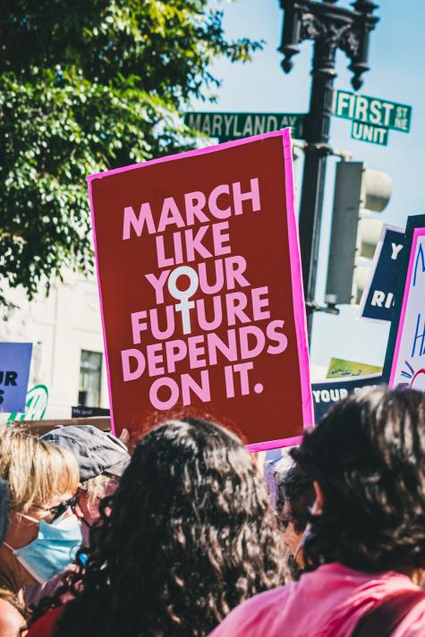 Protoesters stand in the streets of Washington for women's rights. A large pink sign dominates the view with the words 'March like your future depends on it' displayed in large pink letters.