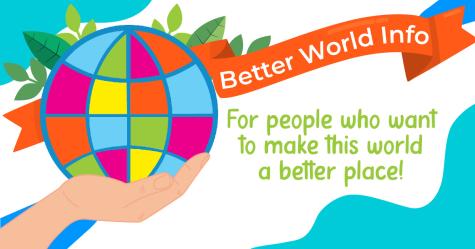 A white and blue banner advertising the website Better World Info. On the left side there is a hand holding the Earth, and next to it in green it says 'for people who want to make this world a better place'.
