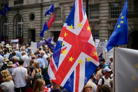 A British Union flag with the gold European Union stars waves in a crowd of remain supporters prior to the Brexit vote.