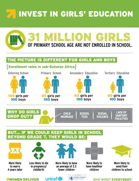 These infographics make the case for investing in girls and women with focus on specific tasks and goals related to maternal and newborn health, family planning and reproductive health, women's health, education, and equality. 