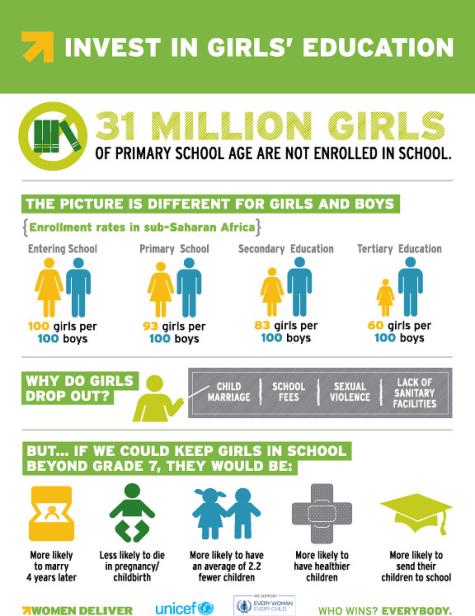 These infographics make the case for investing in girls and women with focus on specific tasks and goals related to maternal and newborn health, family planning and reproductive health, women's health, education, and equality.