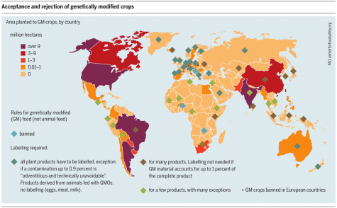 Map of the world showing acceptance and rejection of genetically modified crops