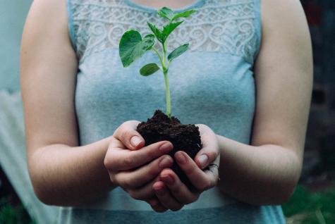 A close up of a woman wearing a pale blue tshirt is holding a plant with the soil in her hands