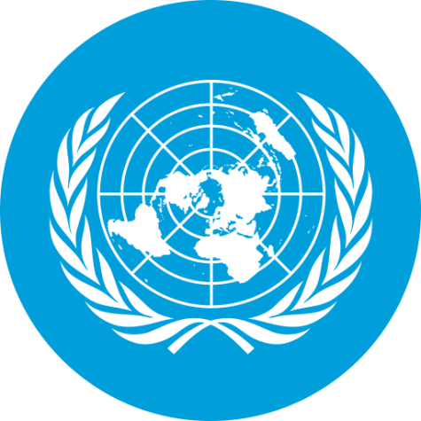 Emblem on the United Nations. A white flat image of the globe sits on top of contour lines surrounded by grains on both sides