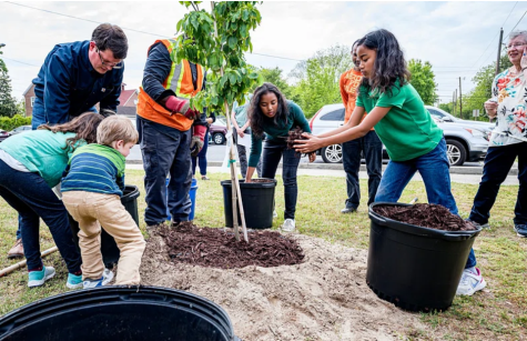Children and adults workk together at a community tree planting event 