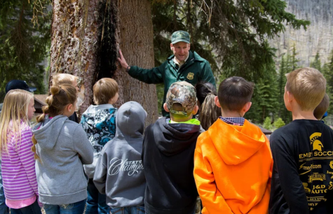 A man wearing a green jacket and cap is giving a class outside, he is touching the trunk of a tree as the children look on 