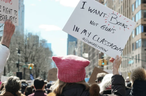 Protesters line the streets demanding stricter gun laws in the US. In the foreground we see the back of a womans head who is wearing a pink beanie hat. She holds a sign which says 'I want books not guns in my classroom.'