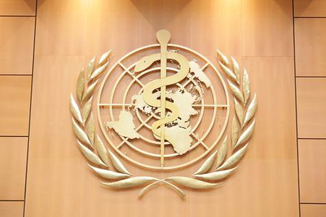 Gold logo of the World Health Organization hangs on a wooden wall. A snake is coiled around a staff infront of a mp of the world with the leaves of the UN symbol on both sides