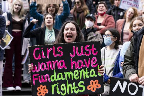 Women protest at a women's reproductive rights demonstration in the U.S. A woman holds a large sign which reads 'Girls just want to have fundamental rights'