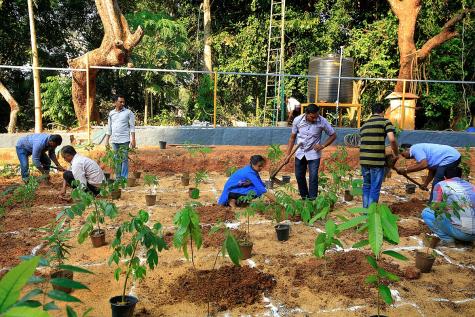Many people are working in an enclosed area in a forest planting trees