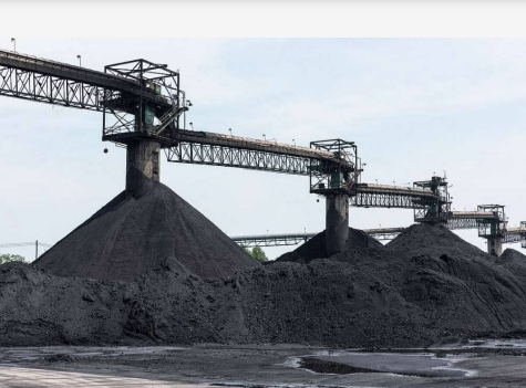 Three large piles of black coal sit in front of a forested mountain, there is machinery working in the background