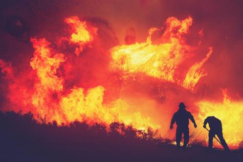 Two firefighters work to fight a huge wildfire which has taken over the forest in the background.