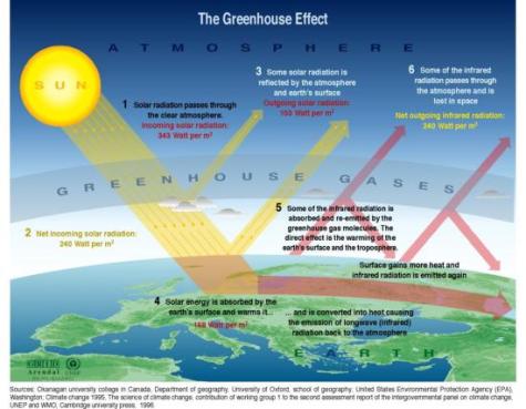  This graphic explains how solar energy is absorbed by the earth's surface, causing the earth to warm and to emit infrared radiation. The greenhouse gases then trap the infrared radiation, thus warming the atmosphere.