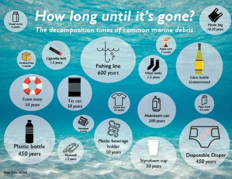 Infographic - Decomposition times of marine debris.