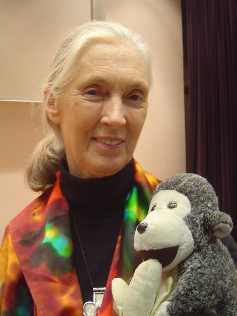 Jane Goodall is holding her toy monkey "Mr. H", which accompanies her during travel. Jane Goodall is a famous animal scientist for studying chimpanzees.