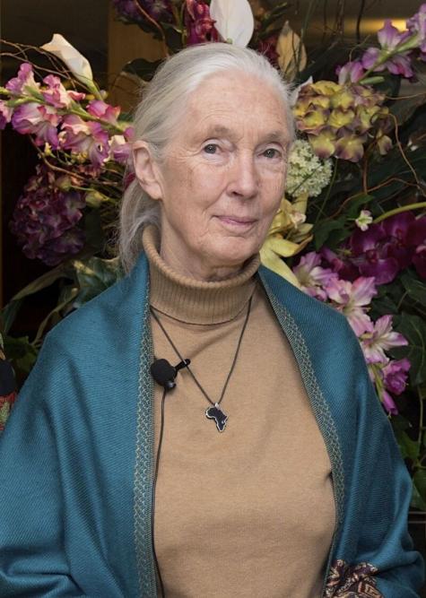 An image of Jane Goodall standing infront of a beautiful vase of flowers. She is wearing a blue shawl and is looking into the camera.