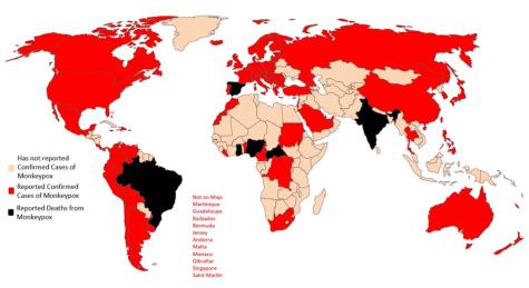 Map of Monkeypox Outbreak 2022 as of 6th August. The black areas, Brazil, India, some African countries, and Spain, are countries which have reported deaths.