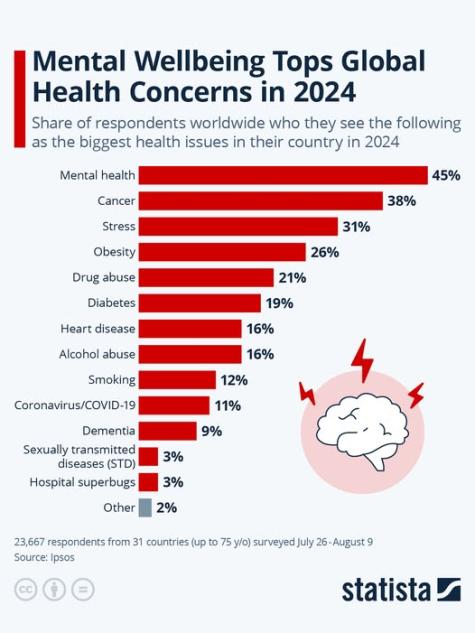 Infographic bar chart showing that mental health wellbeing tops global health concerns in 2024 
