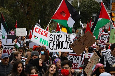 Pro-Palestine protesters line the streets of Toronto holding signs which say 'Stop the genocide'.