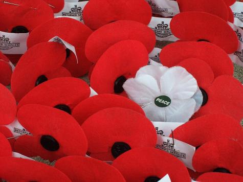 Artificial poppies left on the Waitati cenotaph on Anzac Day 2009. The majority are red and there is one white peace poppy.