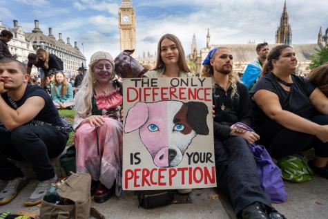 Animal rights activists listening to a speech in Parliament Square on Saturday 26 August 2023.