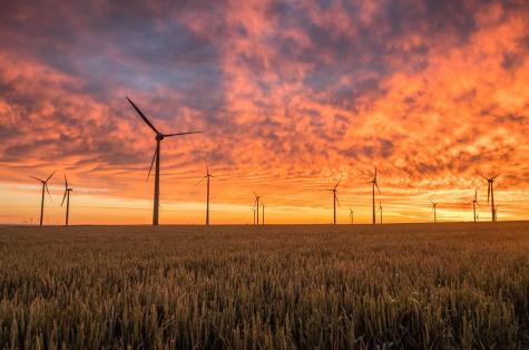 Several wind turbines in the distance sit under a red and pink sky at sunset. There is a farmers field in the foreground.