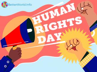Raised fists and a hand holding a megaphone, in front of a human rights flag. 
