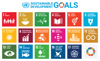 Grid image displaying the 17 goals of the SDGs, each square is a different colour, provides the number of the goal, the image that represents it and a brief description